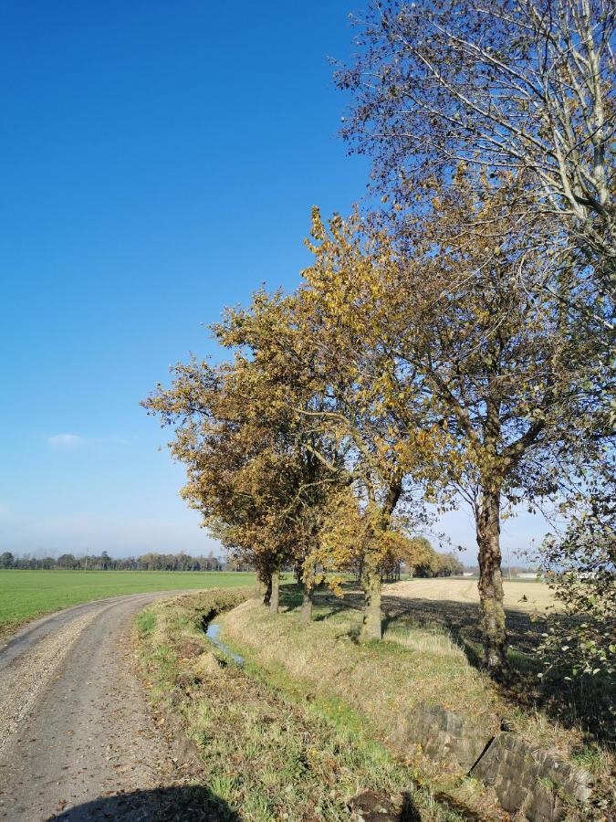 Heeser Hof - Urlaub Im Gruenen Lejlighed