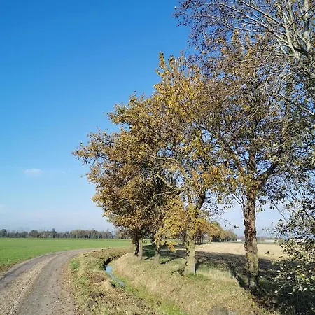 Heeser Hof - Urlaub Im Gruenen Weeze Exterior photo